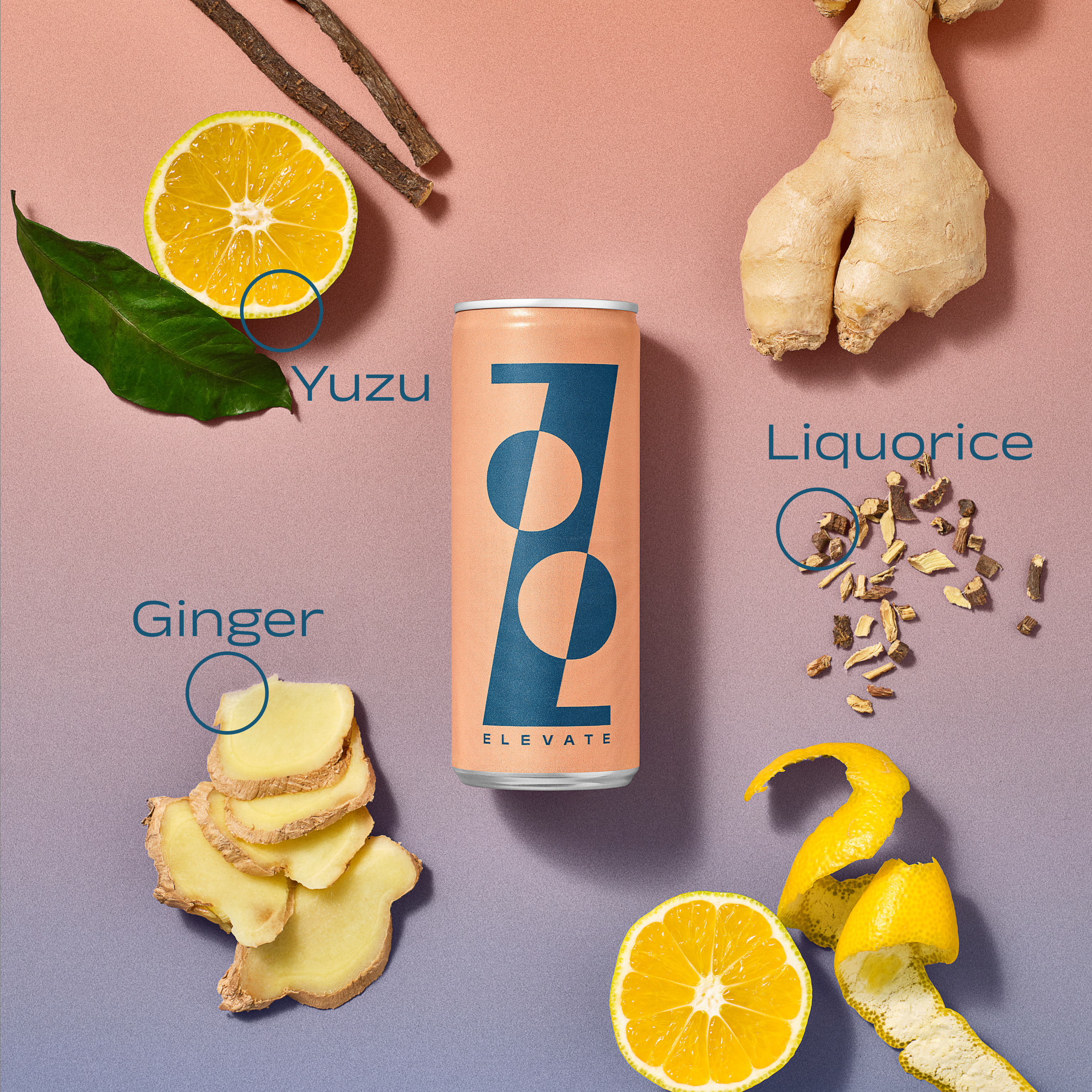 Zooz Elevate