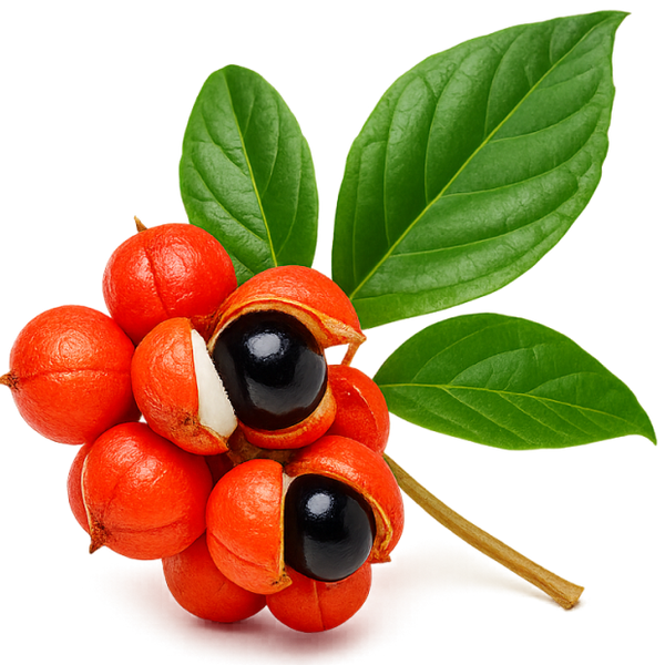 Guarana